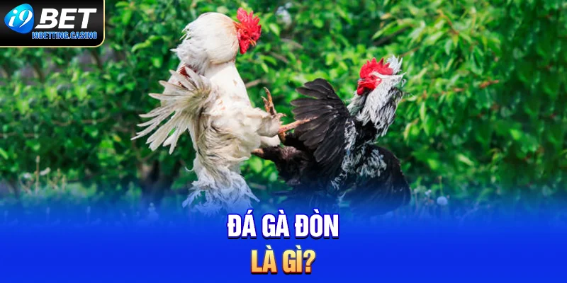 Đá gà đòn là gì?