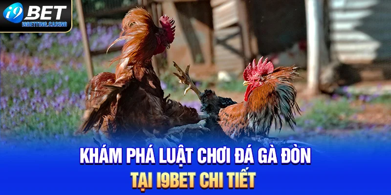 Khám phá luật chơi đá gà đòn tại i9BET chi tiết