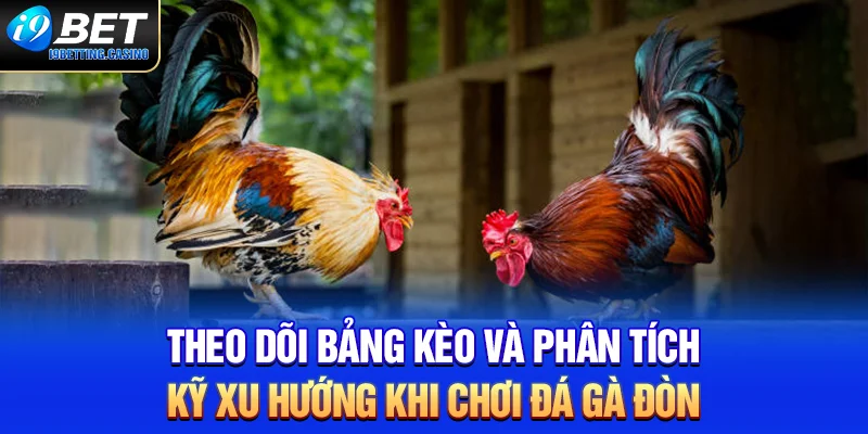 Theo dõi bảng kèo và phân tích kỹ xu hướng khi chơi gà đòn