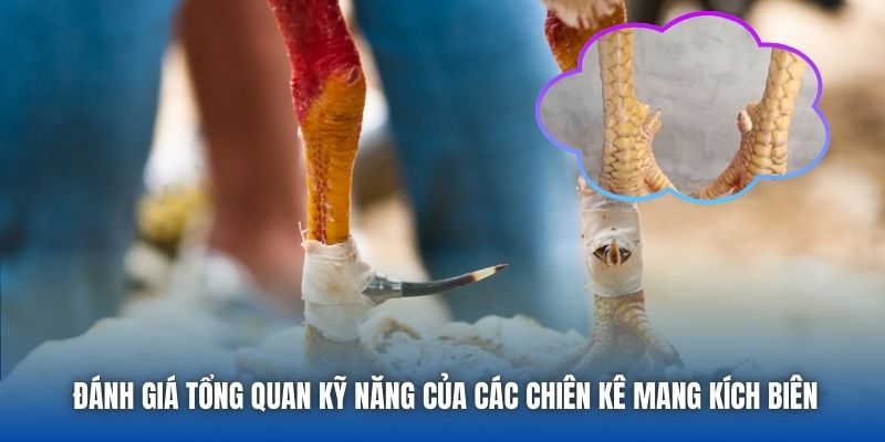 Đánh giá tổng quan kỹ năng của các chiên kê mang kích biên
