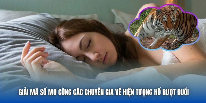 Giải mã sổ mơ cùng các chuyên gia về hiện tượng hổ rượt đuổi