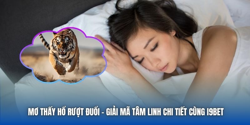Mơ Thấy Hổ Rượt Đuổi - Giải Mã Tâm Linh Chi Tiết Cùng I9BET