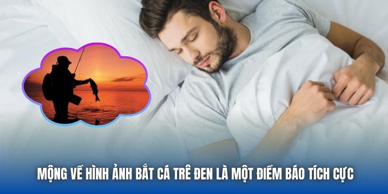 Mộng về hình ảnh bắt cá trê đen là một điềm báo tích cực