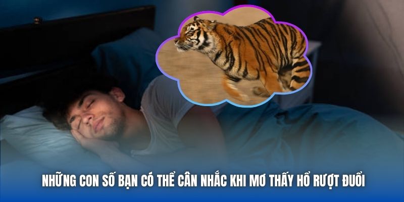 Những con số bạn có thể cân nhắc khi mơ thấy hổ rượt đuổi