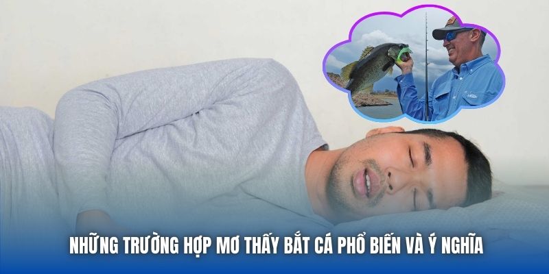 Những trường hợp mơ thấy bắt cá phổ biến và ý nghĩa