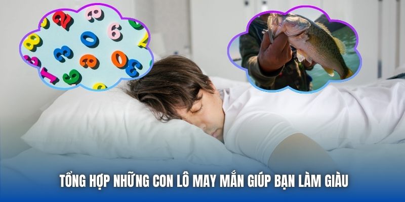 Tổng hợp những con lô may mắn giúp bạn làm giàu