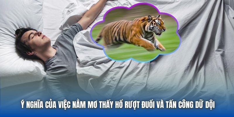 Ý nghĩa của việc nằm mơ thấy hổ rượt đuổi và tấn công dữ dội