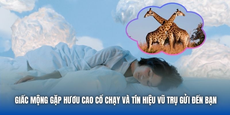 Giấc mộng gặp hươu cao cổ chạy và tín hiệu vũ trụ gửi đến bạn