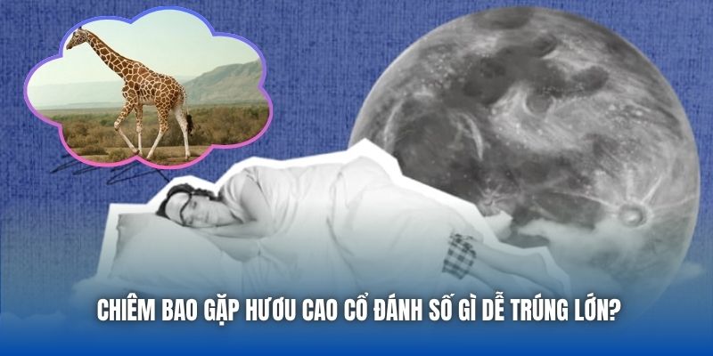 Mơ thấy hươu cao cổ đánh số gì dễ trúng lớn?