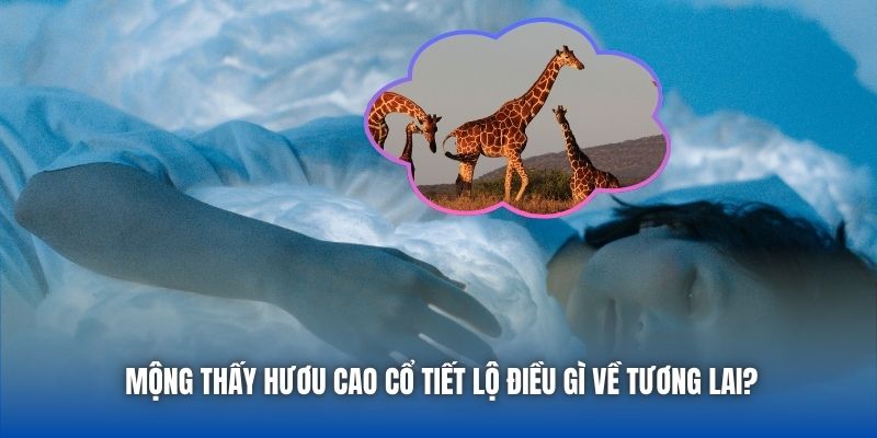 Mộng thấy hươu cao cổ tiết lộ điều gì về tương lai?