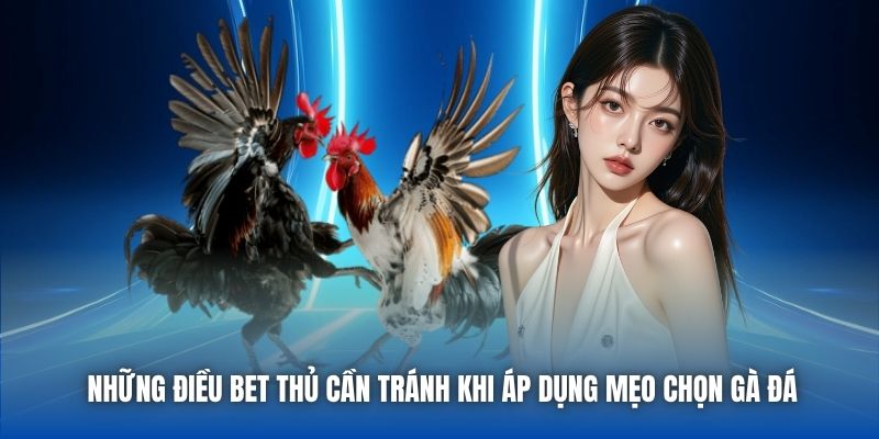 Những điều bet thủ cần tránh khi áp dụng mẹo chọn gà đá