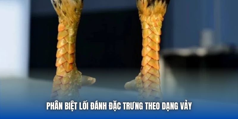 Phân biệt lối đánh đặc trưng theo dạng vảy