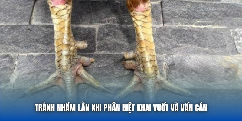 Tránh nhầm lẫn khi phân biệt khai vuốt và vấn cán