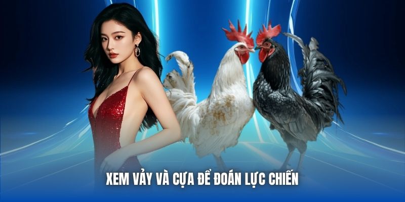 Xem vảy và cựa để đoán lực chiến