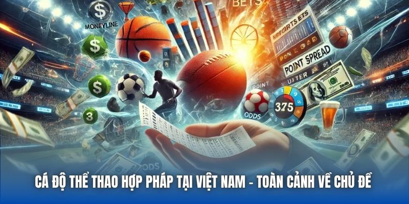 Cá Độ Thể Thao Hợp Pháp Tại Việt Nam - Toàn Cảnh Về Chủ Đề