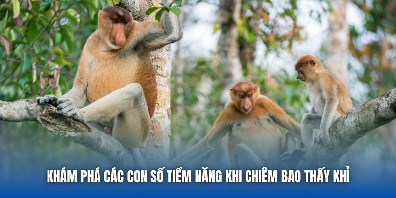 Khám phá các con số tiềm năng khi chiêm bao thấy khỉ
