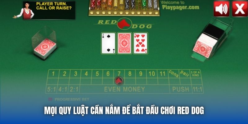 Mọi quy luật cần nắm để bắt đầu chơi Red Dog