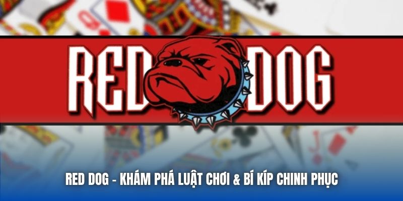 Red Dog | Khám Phá Luật Chơi & Bí Kíp Chinh Phục