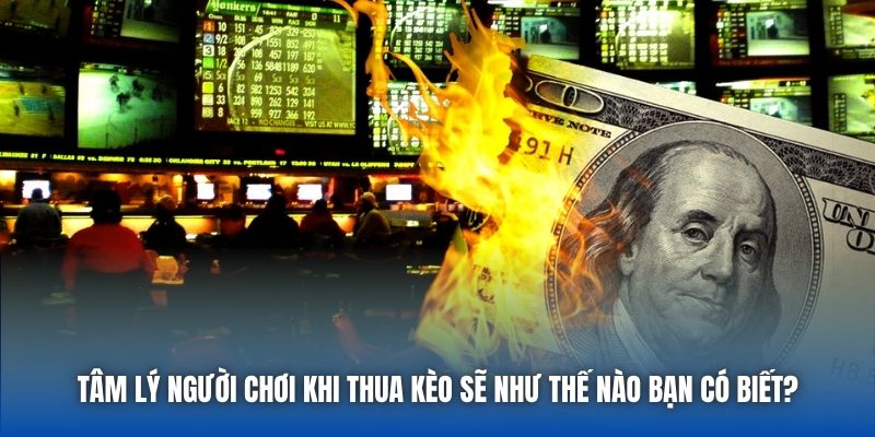 Tâm Lý Người Chơi Khi Thua Kèo Sẽ Như Thế Nào Bạn Có Biết?