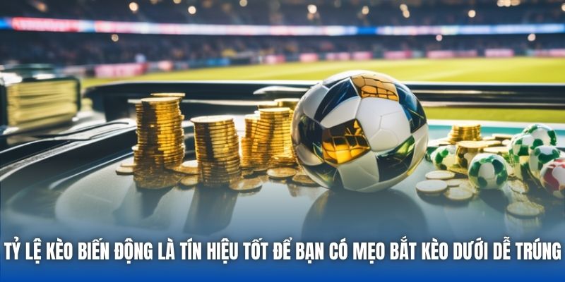 Tỷ lệ kèo biến động là tín hiệu tốt để bạn có mẹo bắt kèo dưới dễ trúng