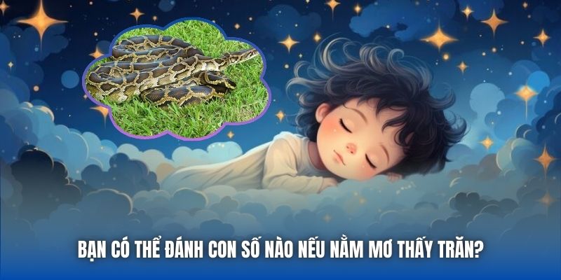 Bạn có thể đánh con số nào nếu nằm mơ thấy trăn?