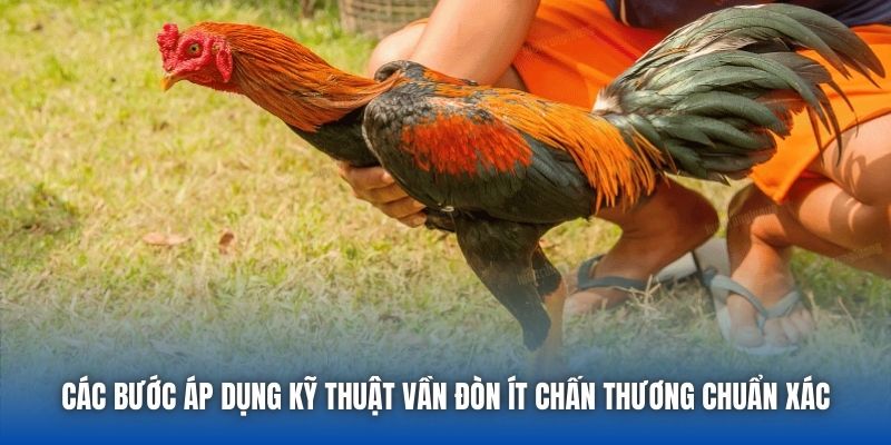 Các bước áp dụng kỹ thuật vần đòn ít chấn thương chuẩn xác