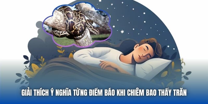 Giải thích ý nghĩa từng điềm báo khi chiêm bao thấy trăn