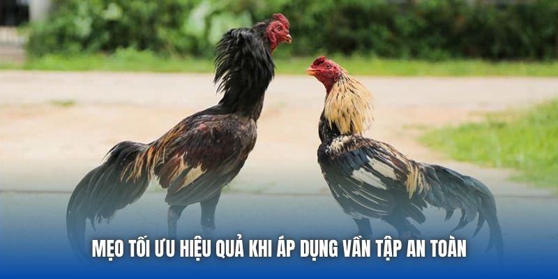 Mẹo tối ưu hiệu quả khi áp dụng vần tập an toàn
