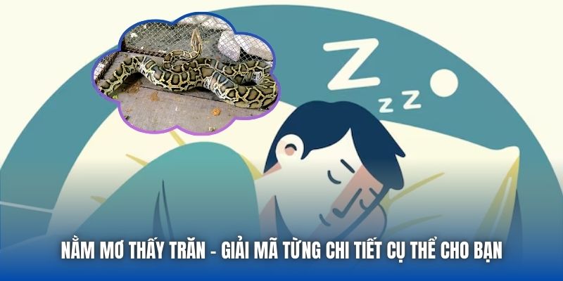 Nằm Mơ Thấy Trăn - Giải Mã Từng Chi Tiết Cụ Thể Cho Bạn