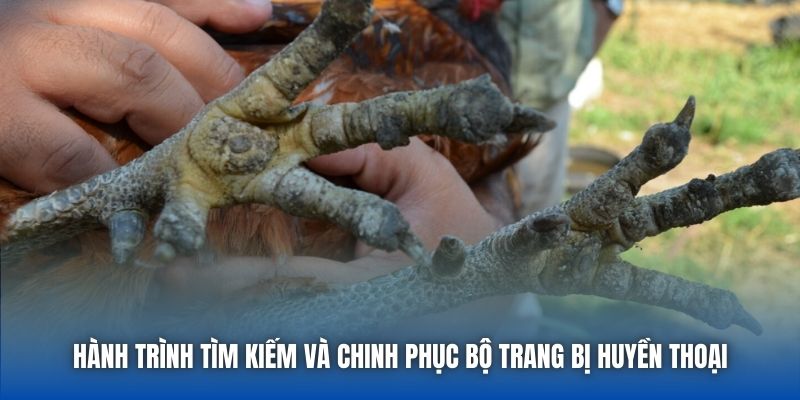 Hành trình tìm kiếm và chinh phục bộ trang bị huyền thoại