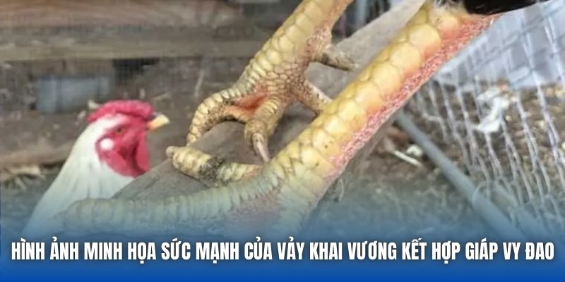 Hình ảnh minh họa sức mạnh của vảy Khai Vương kết hợp giáp Vy Đao