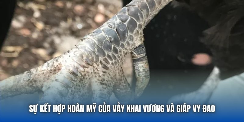 Sự kết hợp hoàn mỹ của vảy Khai Vương và giáp Vy Đao